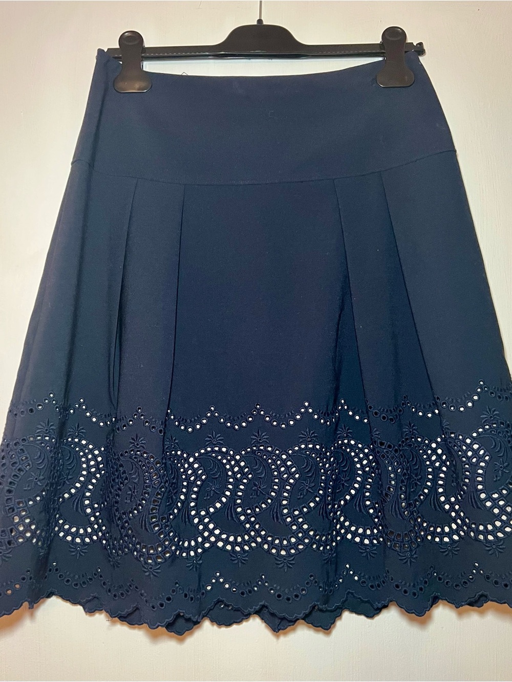 Ann Taylor Navy Eyelet Lace Hem Pleated A-Line Skirt Size 6P Knee Length